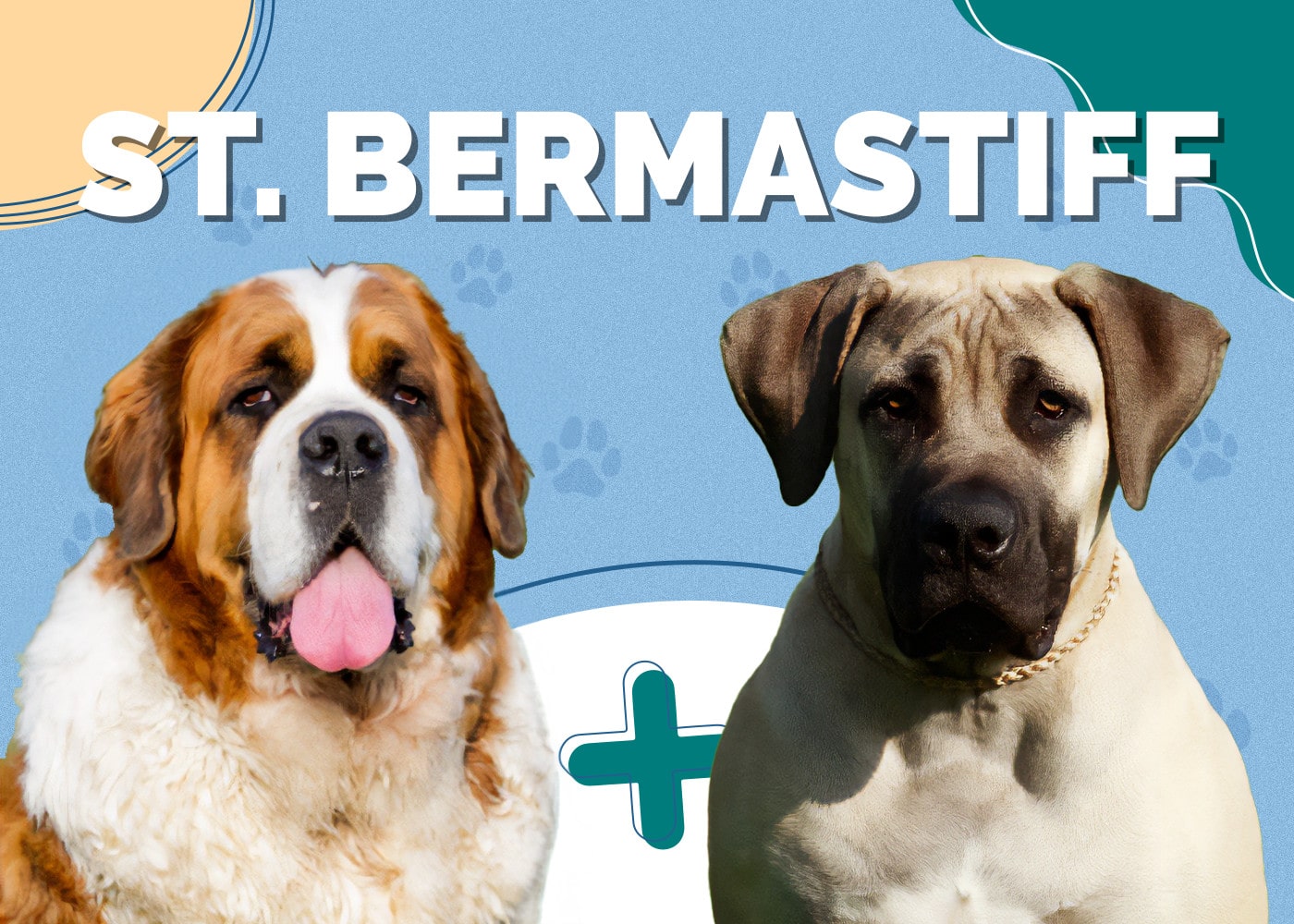 doggiedesigner.com