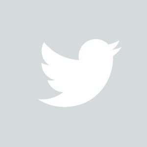 twitter twitter
